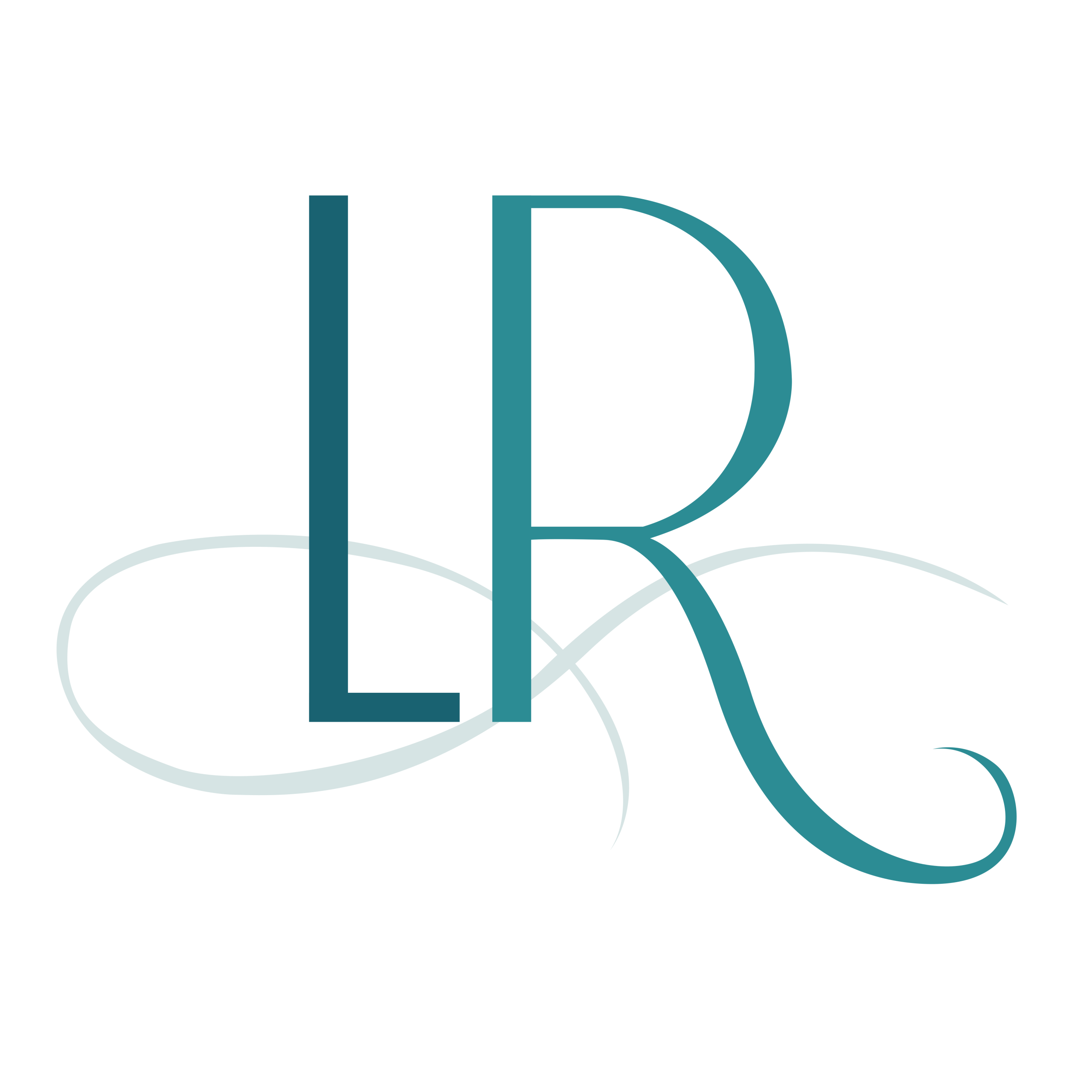 LR Consulting Firm, LLC