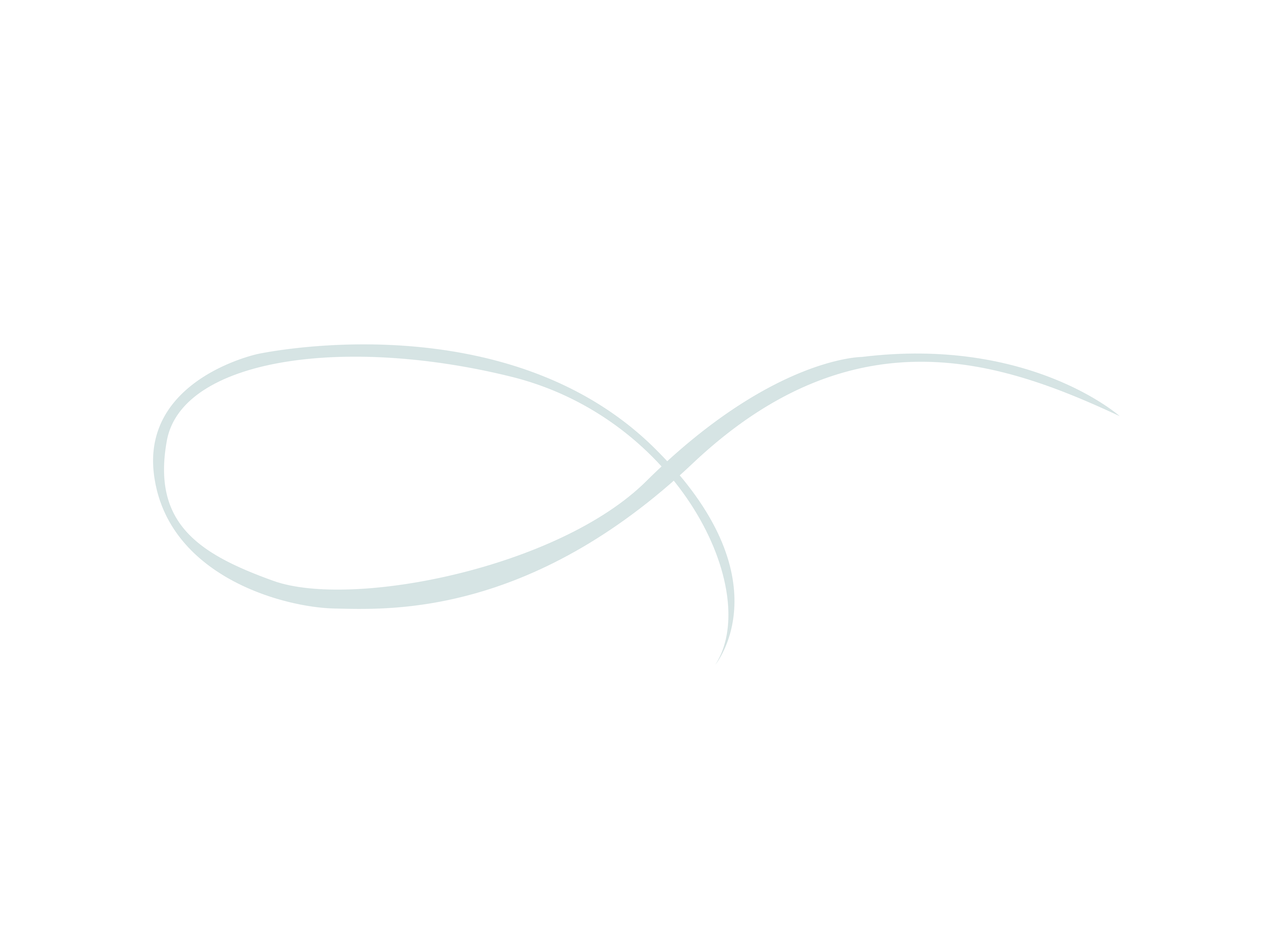 LR Consulting Firm, LLC